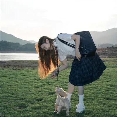 护宝联盟第一季