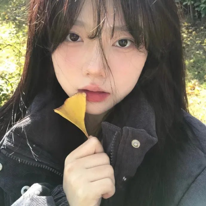 我爱莎拉简